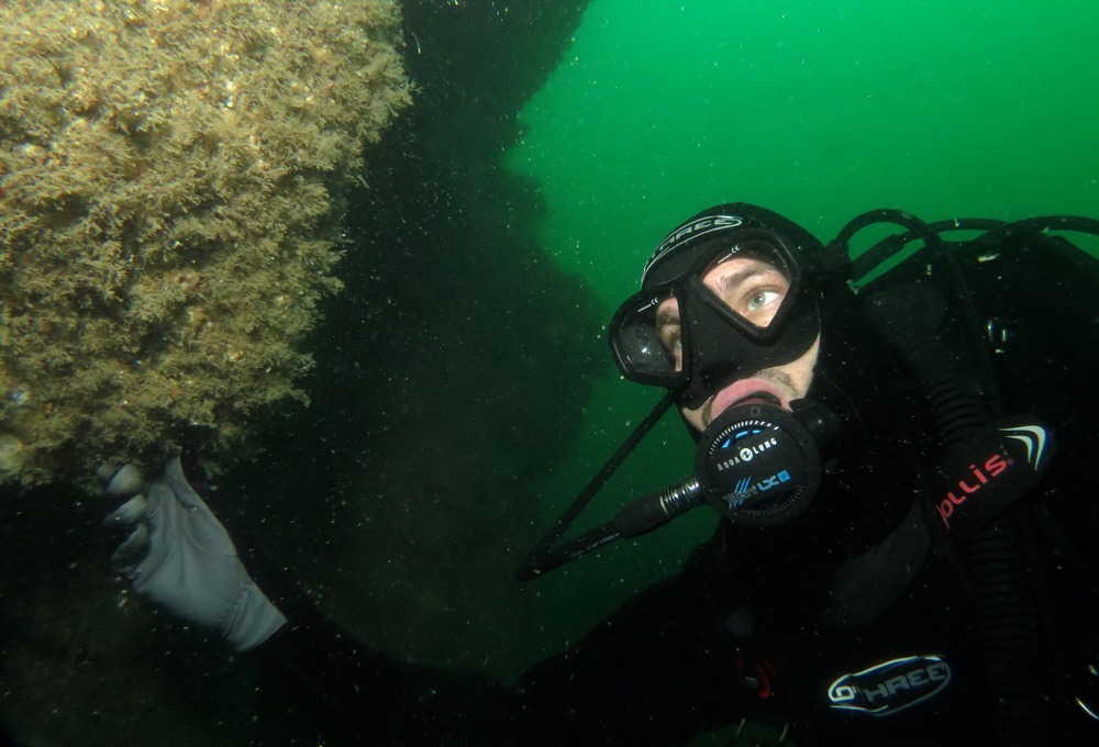 O'Three Drysuits - Will Appleyard - Skomer