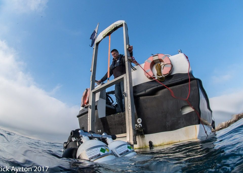 winter diving