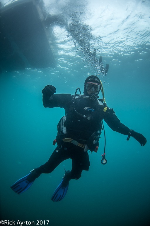new blood, new divers
