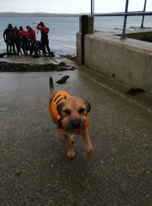 Heriot-Watt Scientific dive team