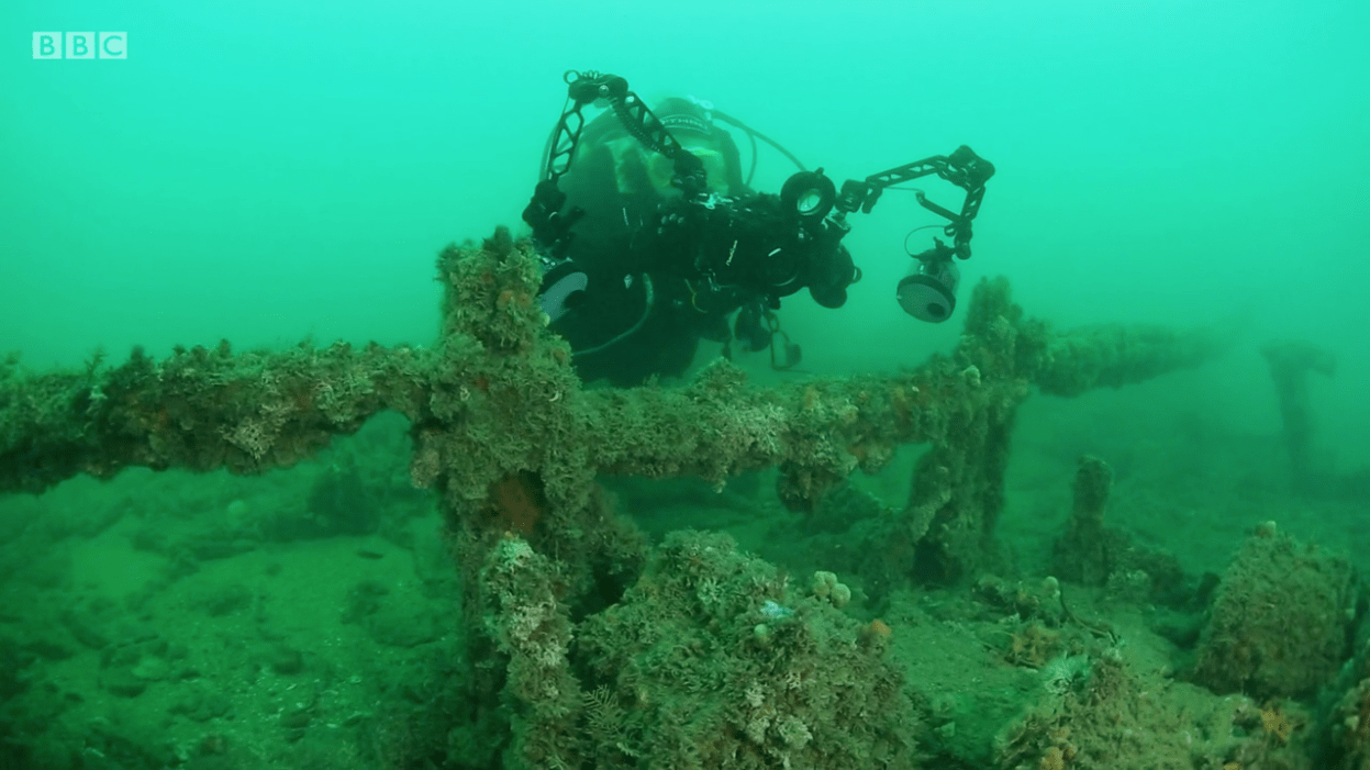The One Show - Downed German Bomber, Lulworth