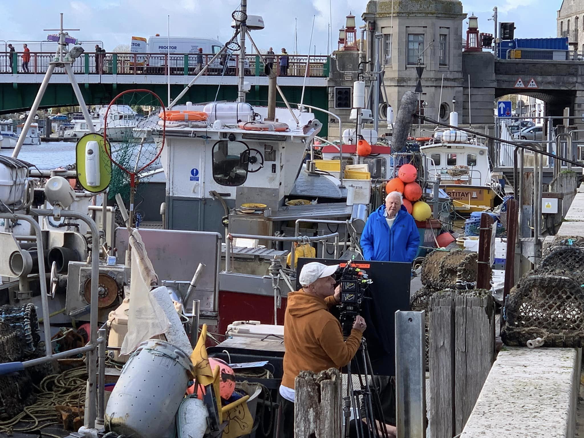 David Attenborough, Weymouth Harbour